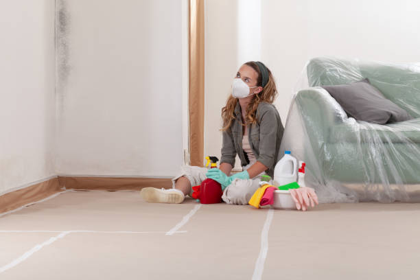 Reliable Commercial Mold Remediation contractor in Arnold, MD by WQB Mold Removal